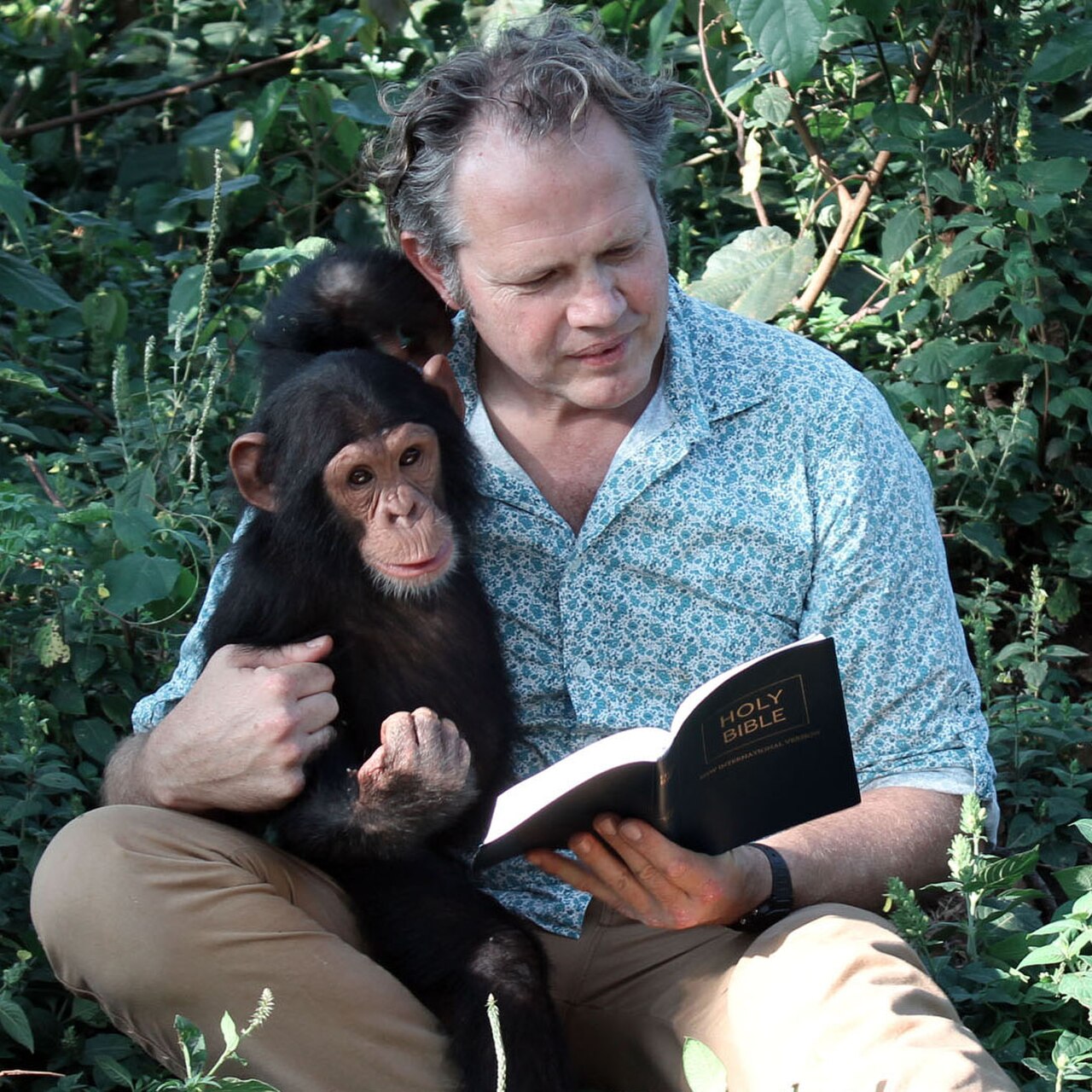 Jacques Coetzer reading Genesis 1 with chimpanzee, Uganda, 2013.jpg