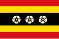 Flag of Ruinen