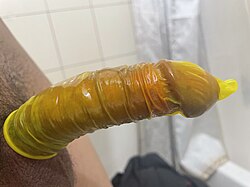 Erect penis in a yellow condom