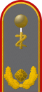 Generalarzt (dental medicine)