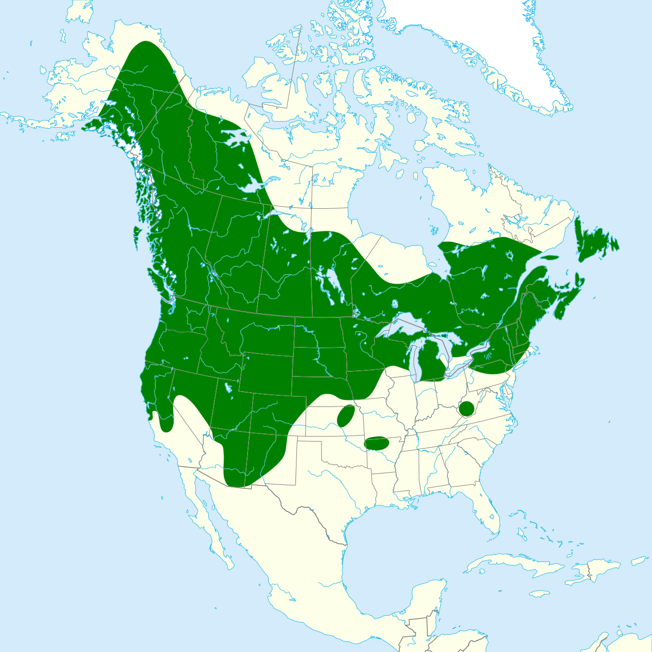 Aeshna interrupta map.svg