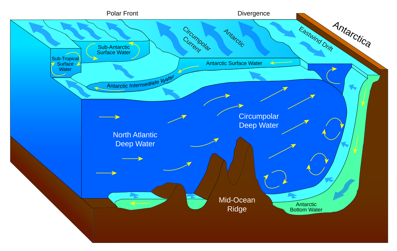 Antarctic bottom water.svg