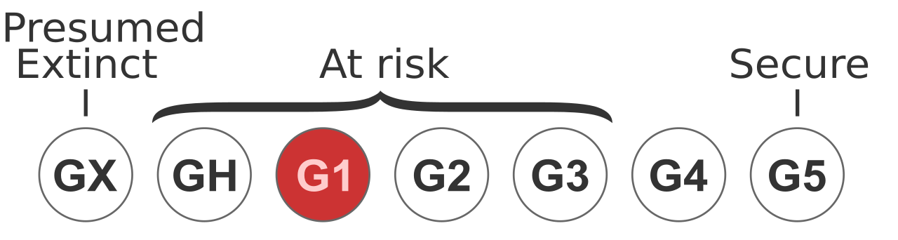 Status TNC G1.svg
