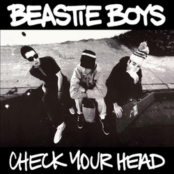Black-and-white overhead shot of the Beastie Boys sitting alongside a road curb. The artist name and album title are written in white against black borders.