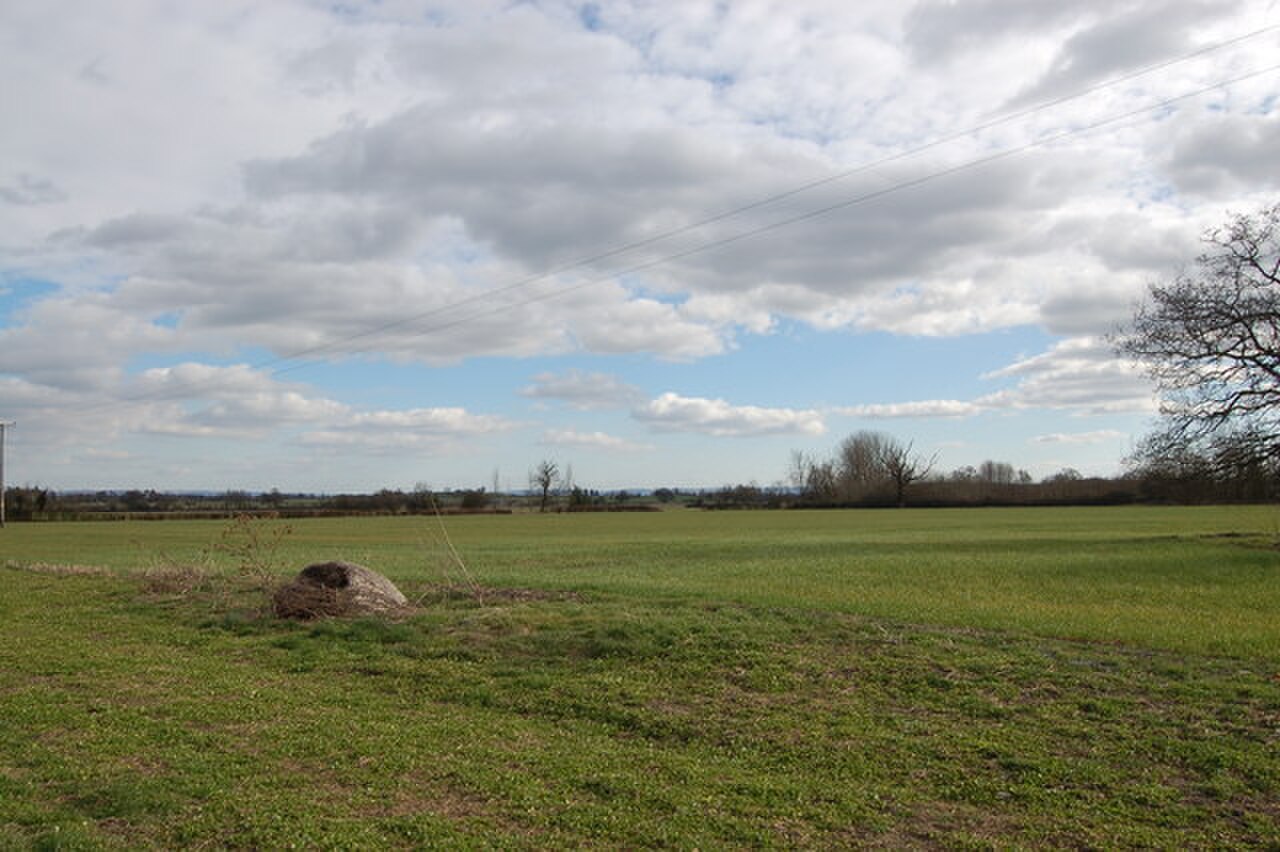 Pastureland near Berrow - geograph.org.uk - 746248.jpg