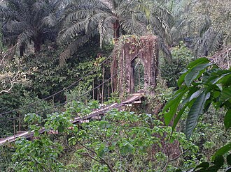 German colonial era bridge over the Cross/Manyu River near Mamfe