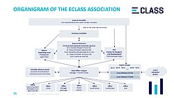 Organigram of the ECLASS e.V.