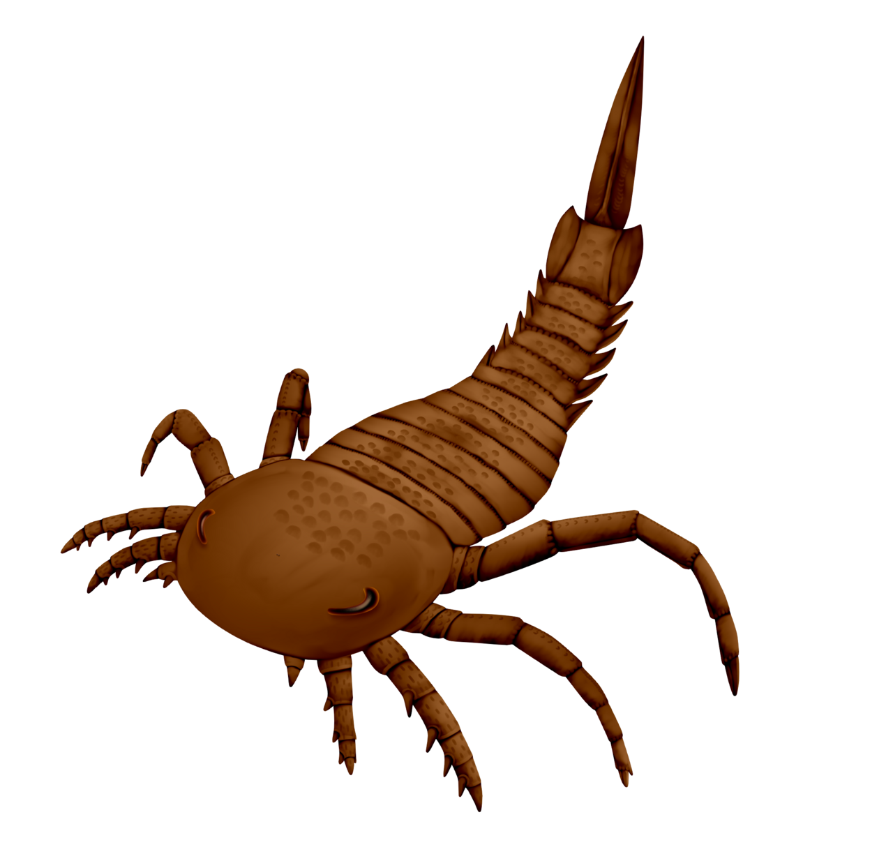 Parastylonurus ornatus.png