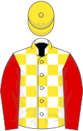 White and yellow check, red sleeves, yellow cap