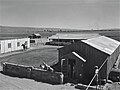 Neot Mordechai, 1947