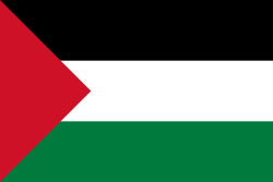 Party flag