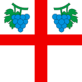 Flag of Verscio