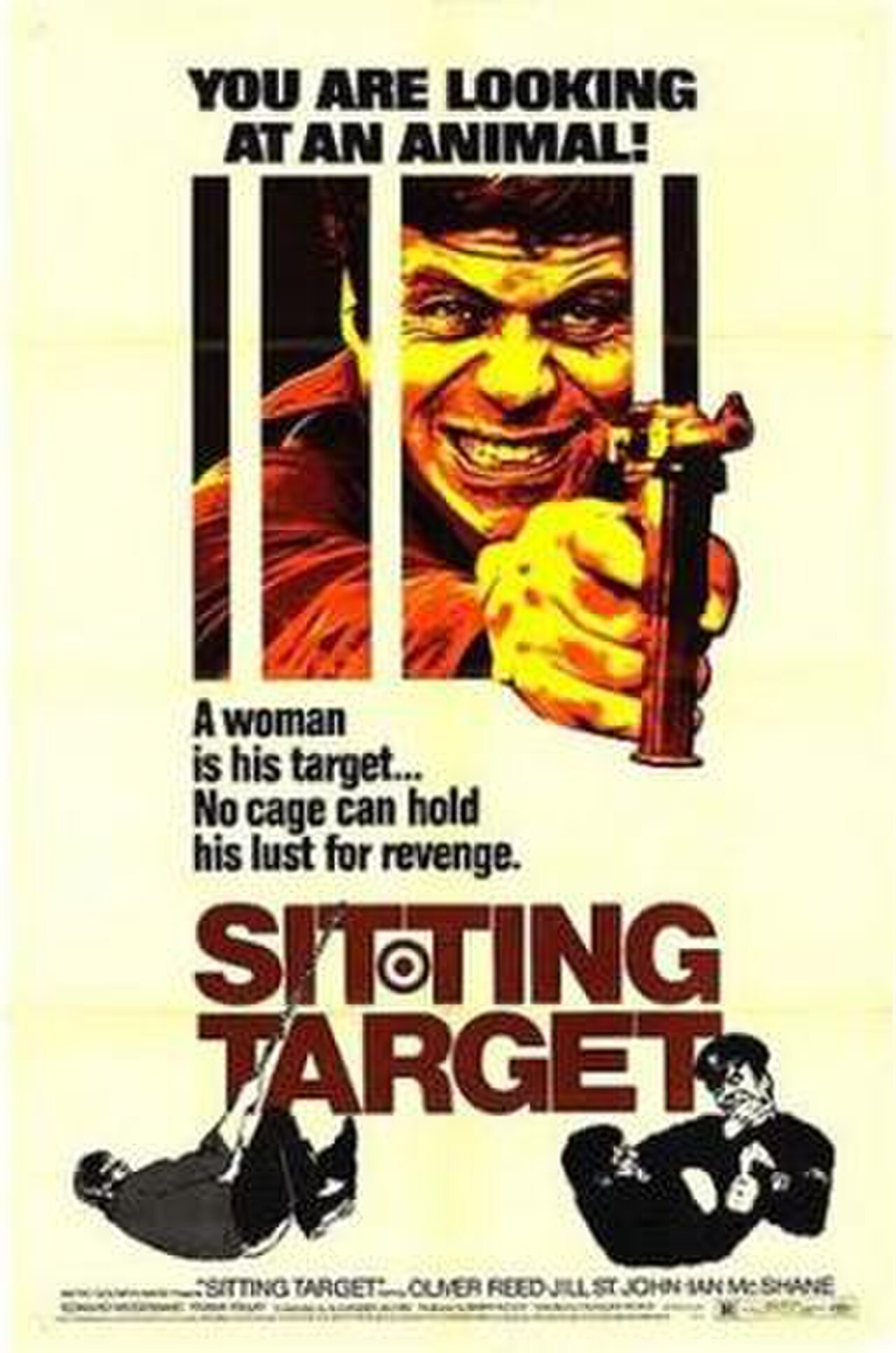 Sitting Target FilmPoster.jpeg