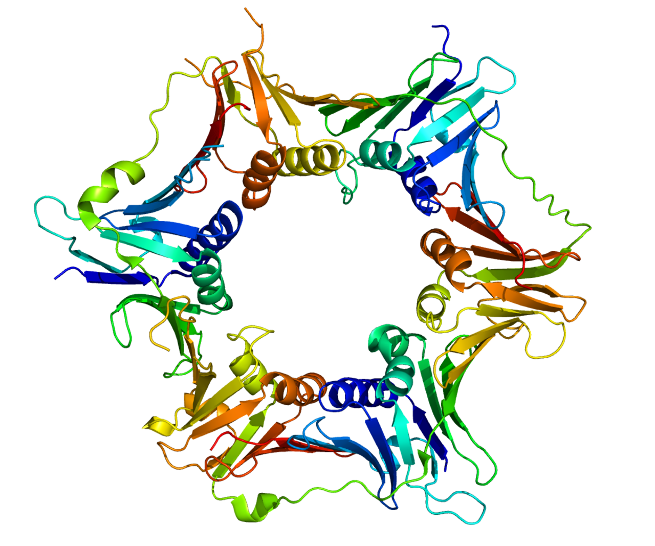 Protein RAD9A PDB 3A1J.png