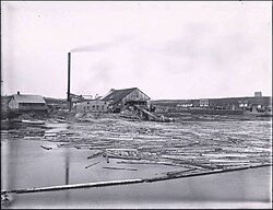 Exploits River Lumber and Pulp Company