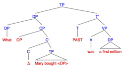 Syntax Tree for Wh-Cleft/Pseudo-Cleft sentence: "What Mary bought was a first edition"