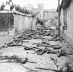 Corpses in the streets of Calcutta with vultures feeding on the remains after Great Calcutta Killings of August 1946