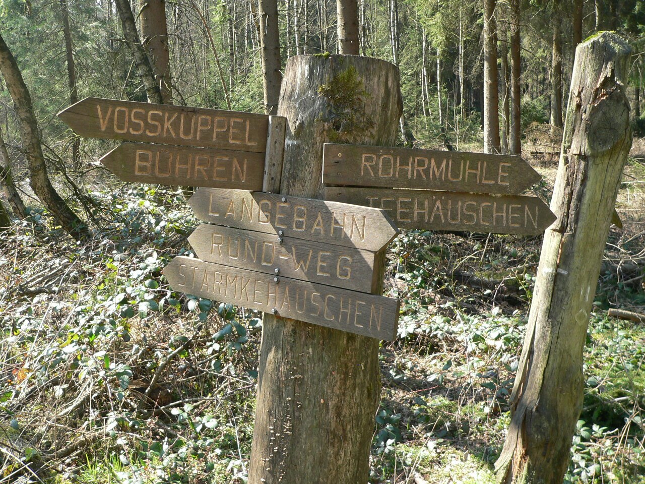 Bramwald 06.jpg