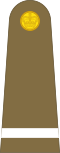 Officer cadet