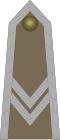 Starszy sierżant (Polish Army)[29]
