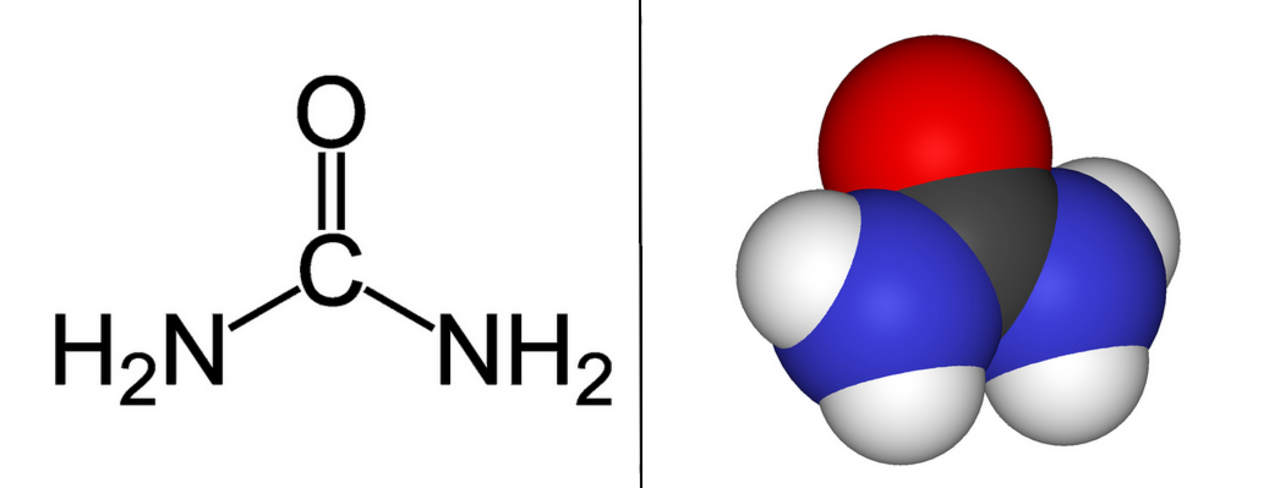 Urea 2D & Urea 3D.png