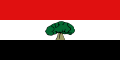 Flag of East Shewa Zone