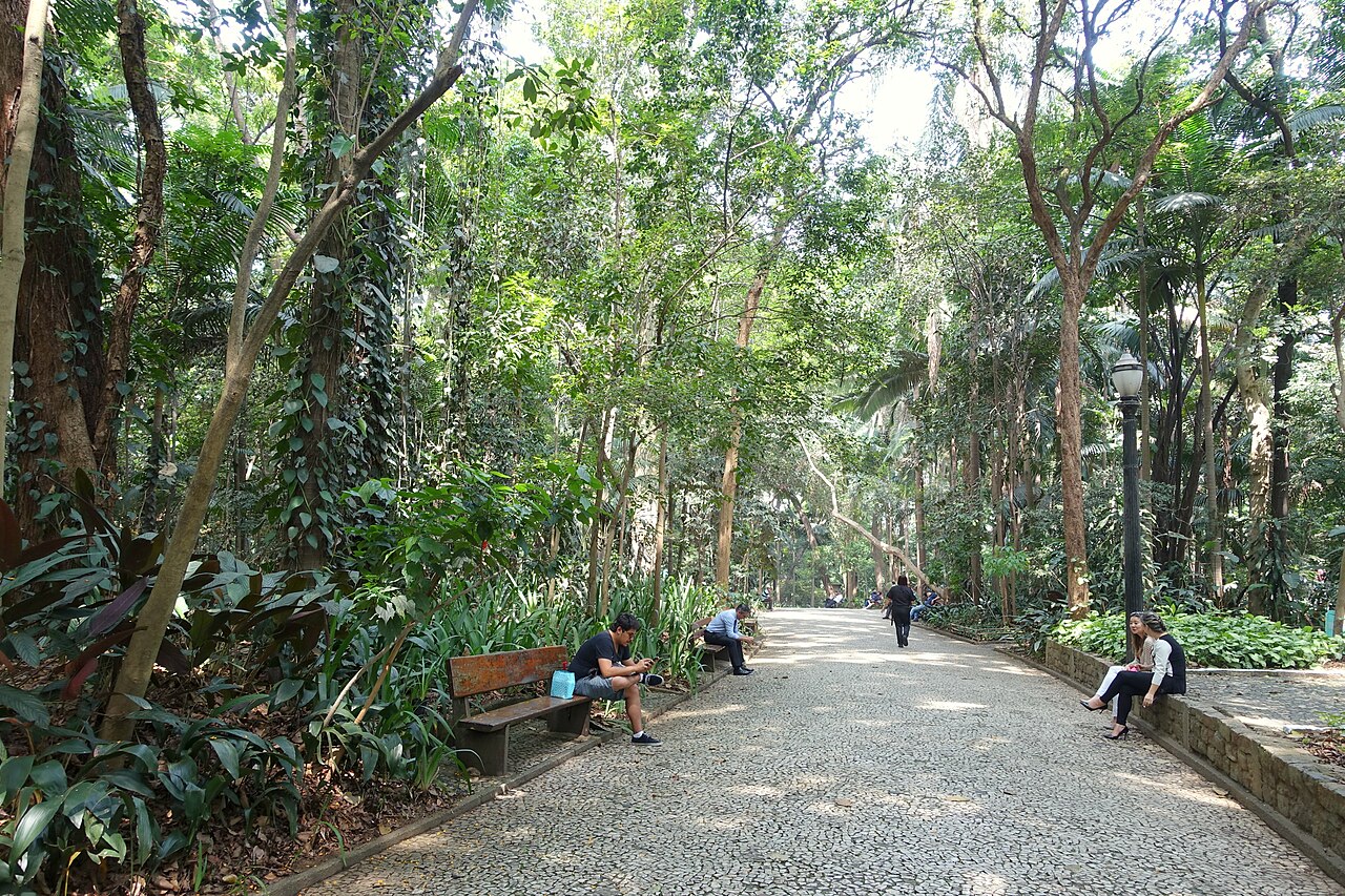 Parque Trianon - São Paulo, Brazil - DSC07127.JPG