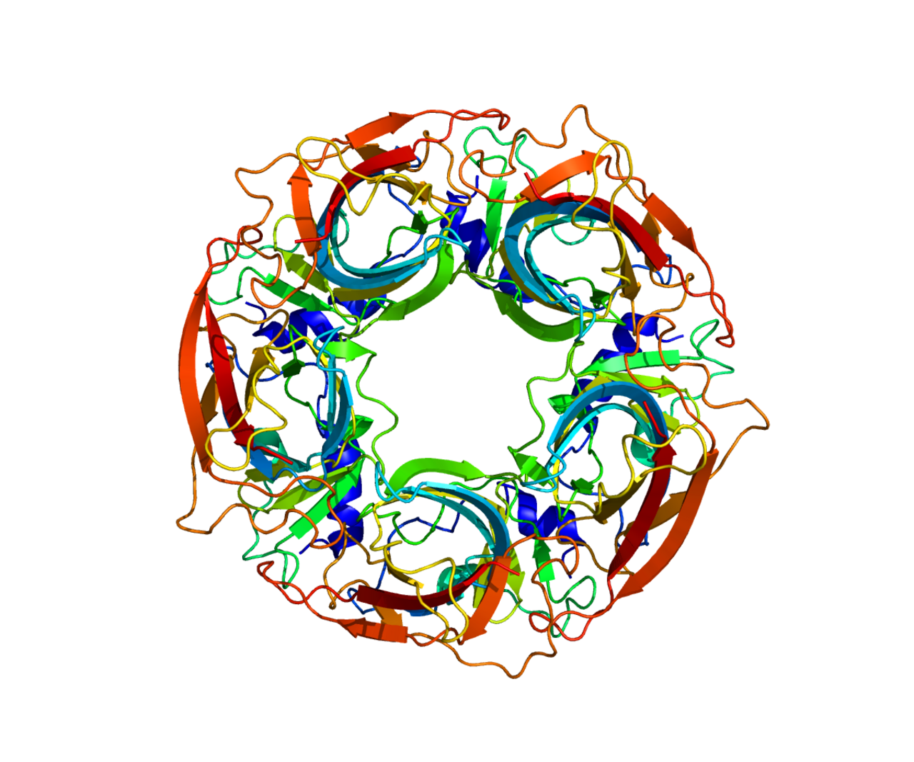 Protein CHRNB2 PDB 2GVT.png