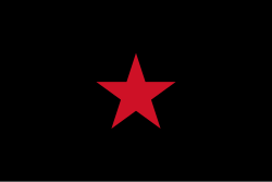 Flag of Zapatista territories[1][2][3]