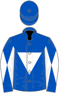 Royal blue, white inverted triangle, diabolo on sleeves