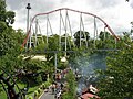 Heartline roll and flying snake dive
