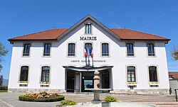 Town hall