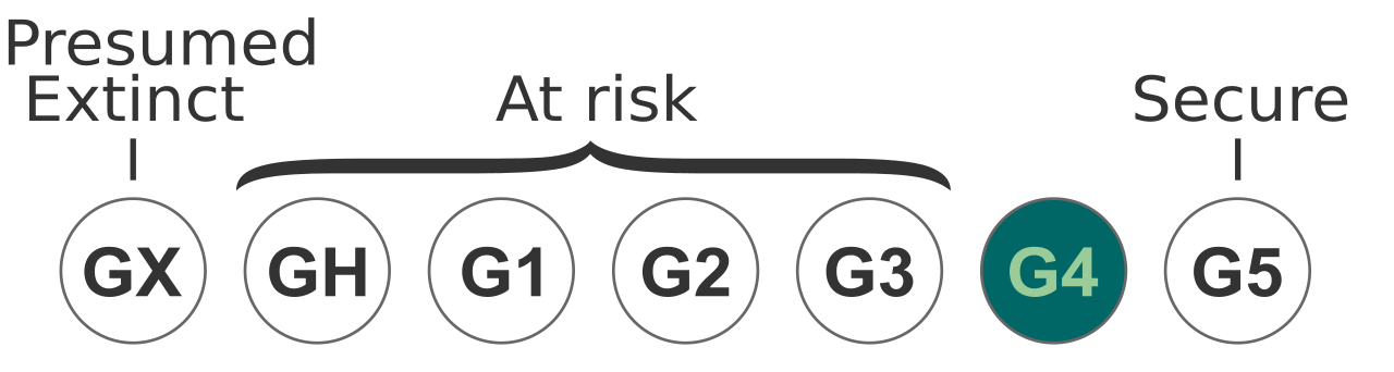 Status TNC G4.svg