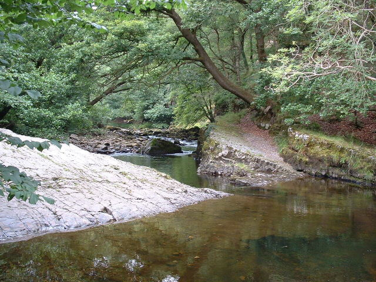 Nedd Fechan River - geograph.org.uk - 42561.jpg