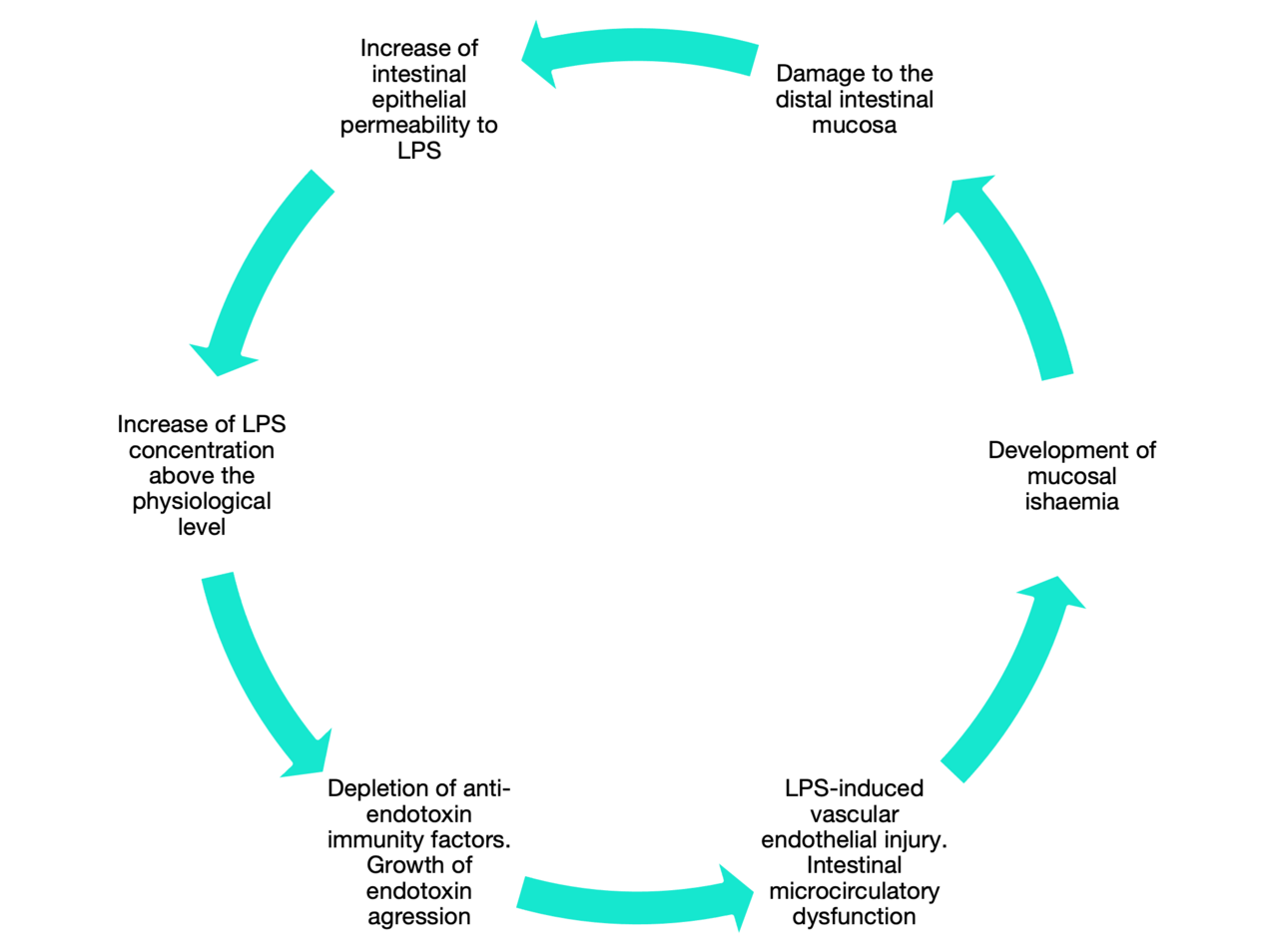 Figure N1.png