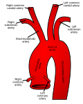 Diagram of the arch