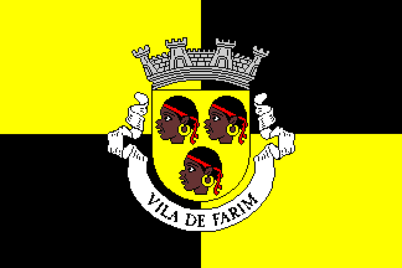 Flag of Farim.gif