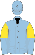 Light blue, yellow and light blue halved sleeves