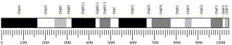 Chromosome 15 (mouse)