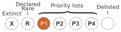 Priority One — Poorly Known Taxa