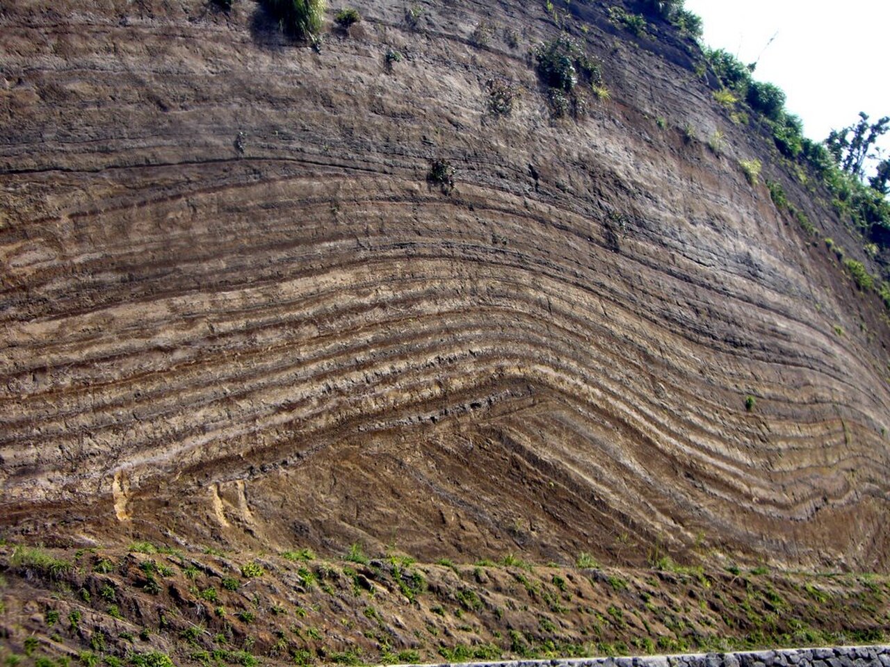 Volcanic Ash Fall Layers Izu Oshima Japan 1.jpg