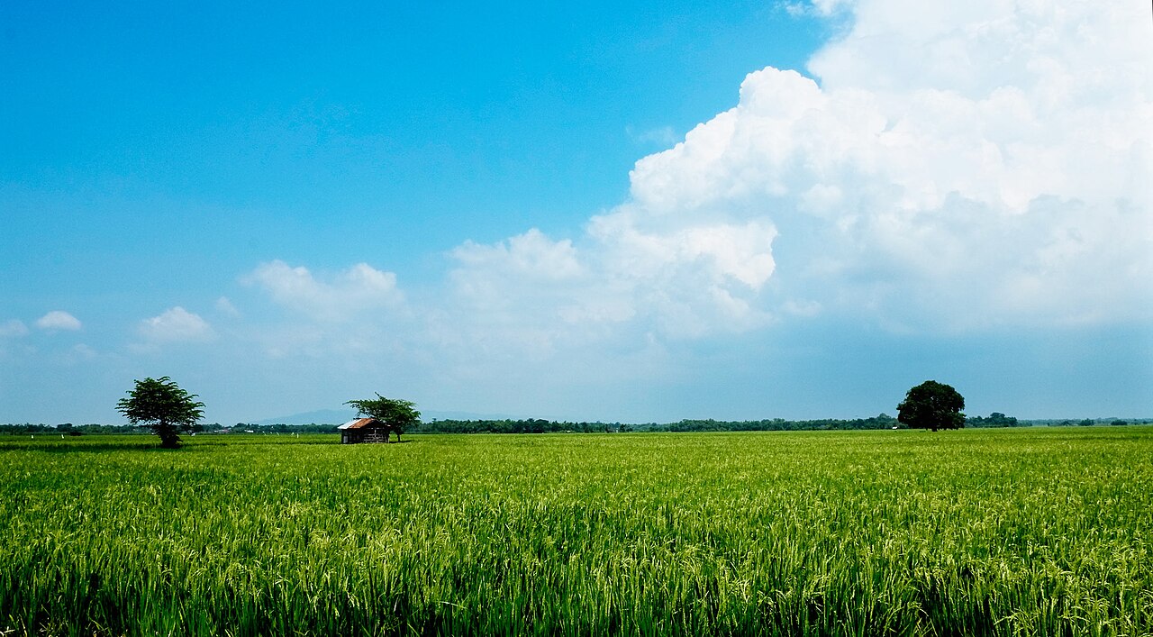 Mintorahayu, Winong, Pati Regency, Central Java, Indonesia - panoramio.jpg