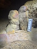 Oddly colored rimstone with scale
