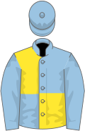 Light blue and yellow (quartered), light blue sleeves and cap