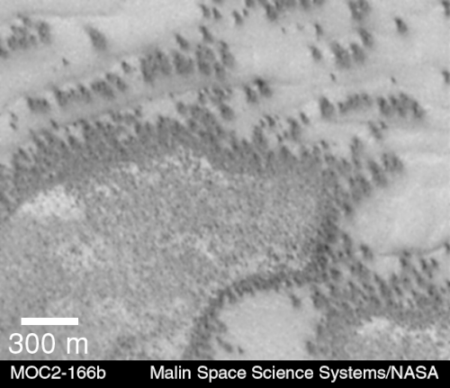 Mars Orbiter Camera picture taken on 21 July 1999 showing Mars's polar dunes[2]