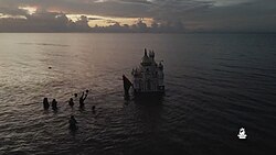 Tadjah in the ocean