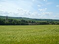 Near Wintringham