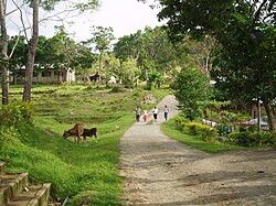 Biabas barangay