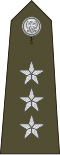 Rotmistrz (Polish Land Forces)[15]