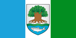 Flag of Astravyets